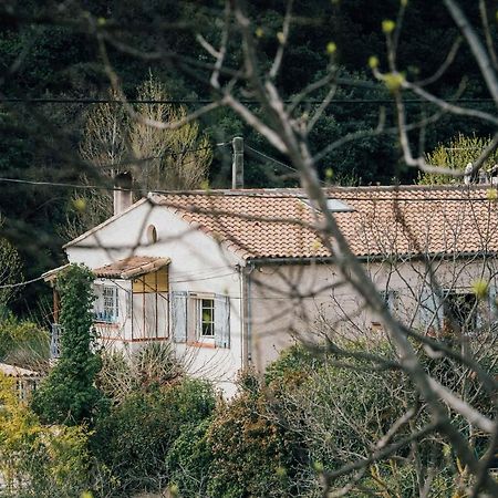 Maison D'Hotes Eco-Responsable Avec Piscine 6X12M Châteaudouble Esterno foto