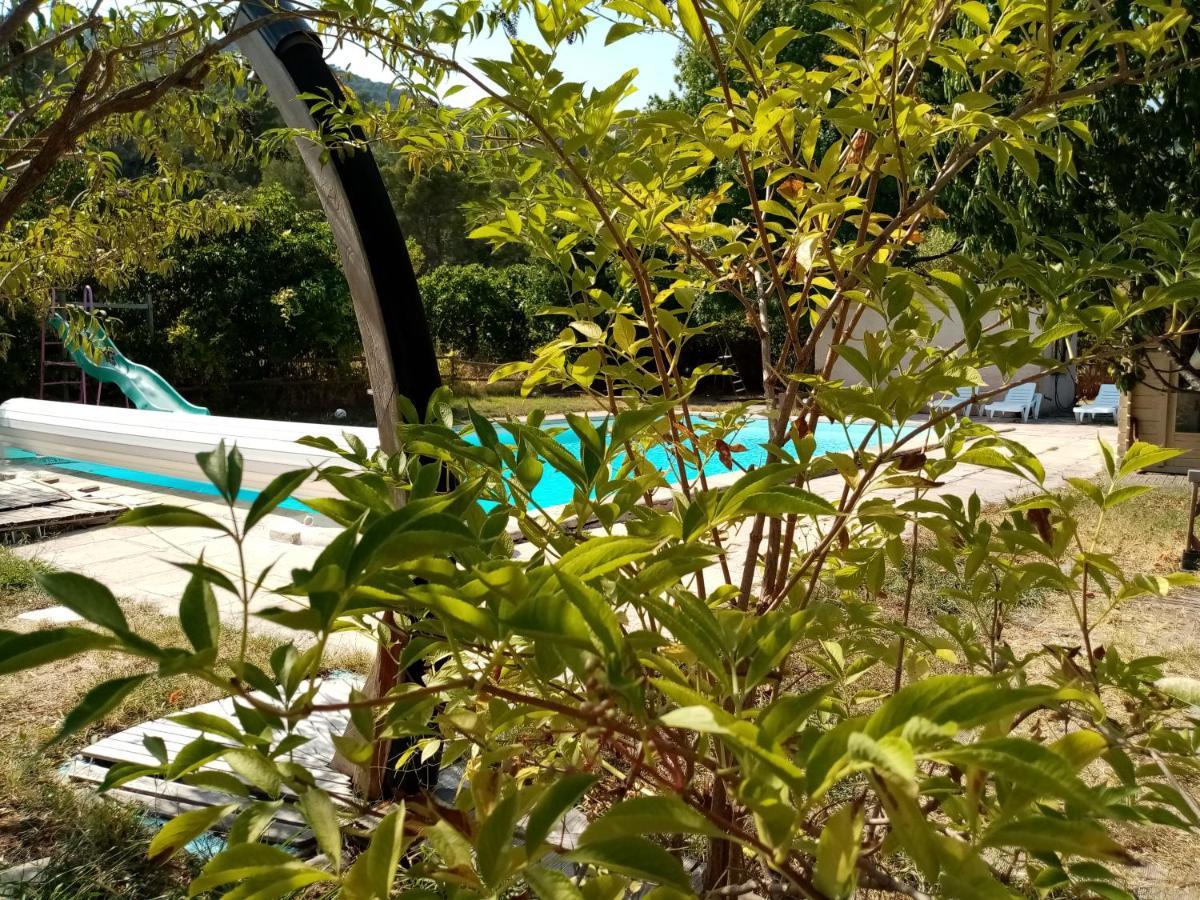 Maison D'Hotes Eco-Responsable Avec Piscine 6X12M Châteaudouble Esterno foto