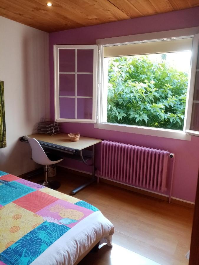Maison D'Hotes Eco-Responsable Avec Piscine 6X12M Châteaudouble Esterno foto