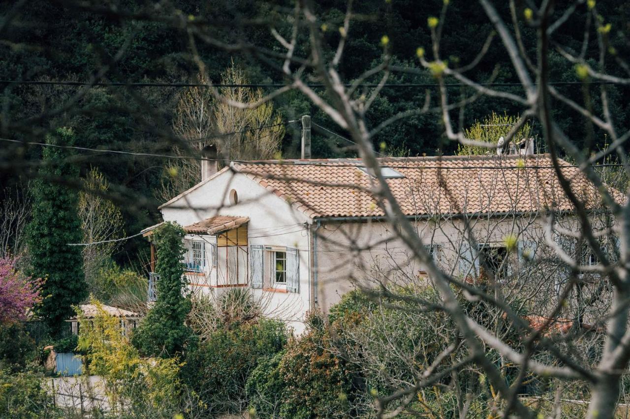 Maison D'Hotes Eco-Responsable Avec Piscine 6X12M Châteaudouble Esterno foto