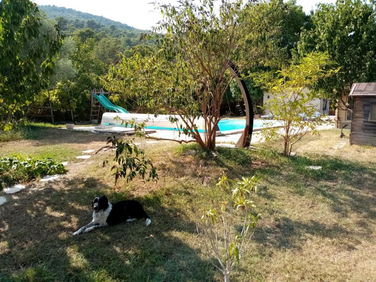 Maison D'Hotes Eco-Responsable Avec Piscine 6X12M Châteaudouble Esterno foto